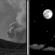 Tonight: Patchy smoke before 8pm. Mostly clear, with a low around 63. North northeast wind 0 to 3 mph. Tonight: Patchy Smoke then Mostly Clear